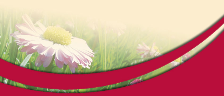 Hintergrund