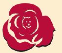 logo_rose