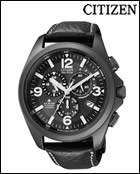 Citizen Promaster Land