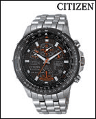 Citizen Promaster Sea